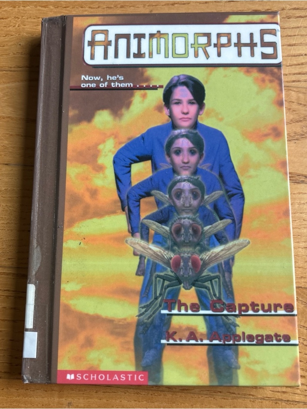 Animorphs #6 The Departure HARDCOVER Book K.A. Applegate Fly Regent Y2K Vintage
